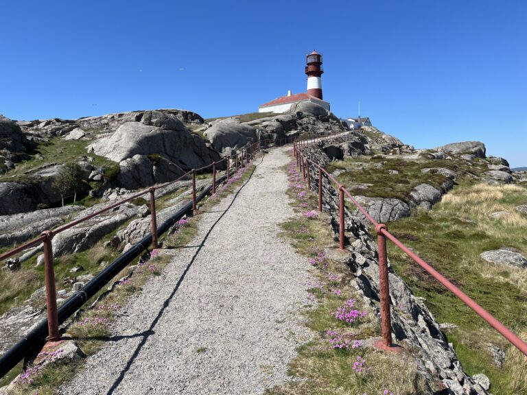 Bilde for laget Ryvingens venner på Kreftforeningens Stafett for livet. 