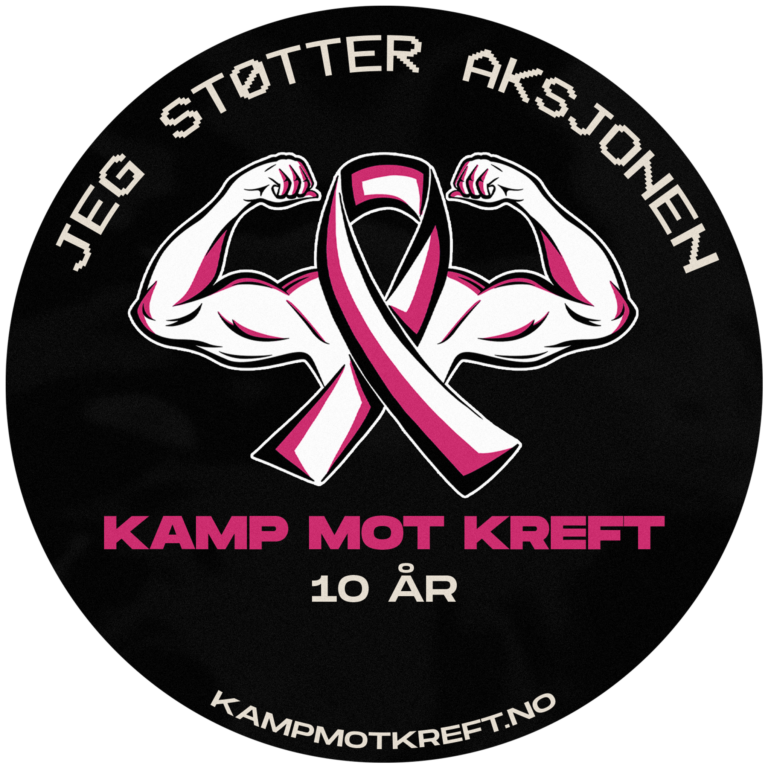 Bilde for laget Kamp Mot Kreft – Gamere Mot Kreft på Kreftforeningens Stafett for livet. 