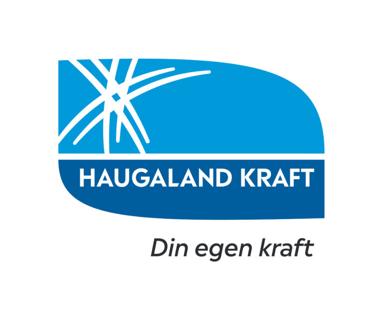 Bilde for laget Haugaland Kraft på Kreftforeningens Stafett for livet. 