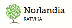 Bilde for laget Norlandia Ratvika Barnehage på Kreftforeningens Stafett for livet. 