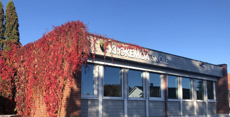 Bilde for laget Krokemoa skole på Kreftforeningens Stafett for livet. 