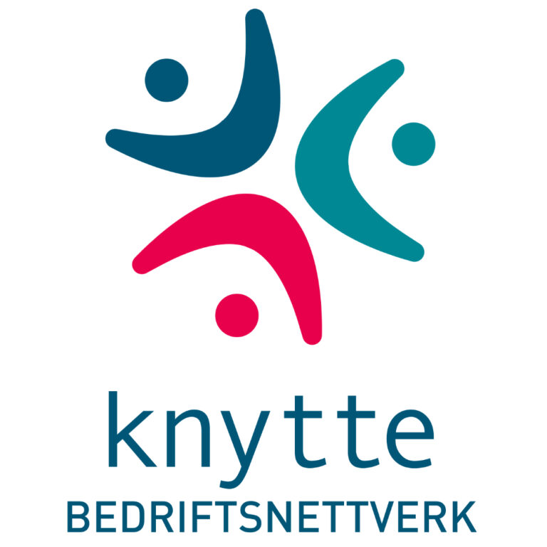Bilde for laget Knytte på Kreftforeningens Stafett for livet. 