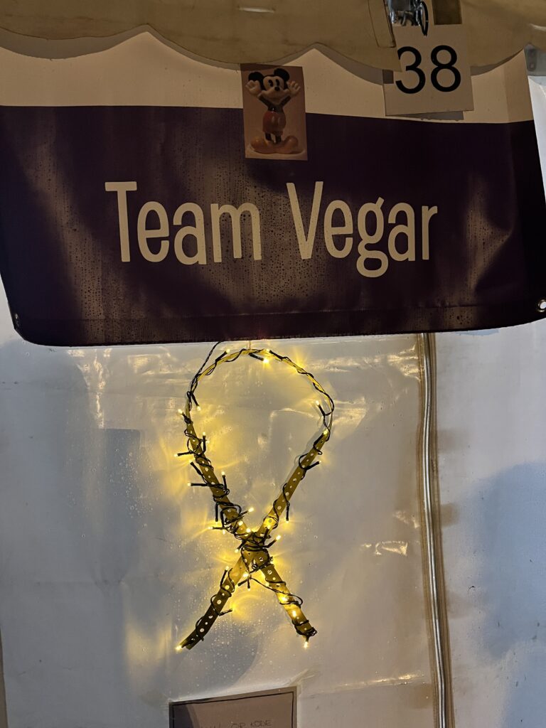 Bilde for laget Team Vegar på Kreftforeningens Stafett for livet. 