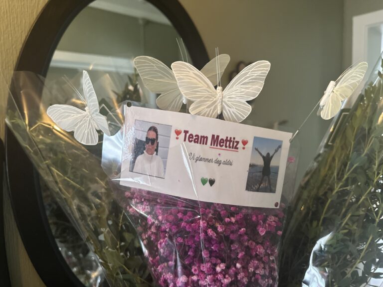 Bilde for laget ❣️Team Mettiz❣️ på Kreftforeningens Stafett for livet. 