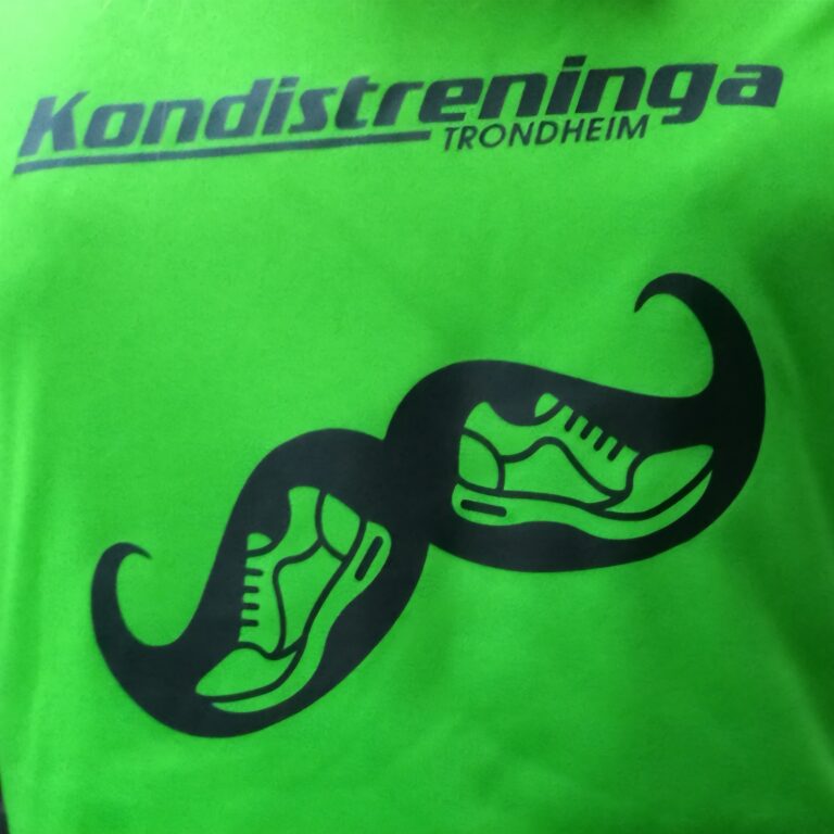 Bilde for laget Kondistreninga Trondheim på Kreftforeningens Stafett for livet. 
