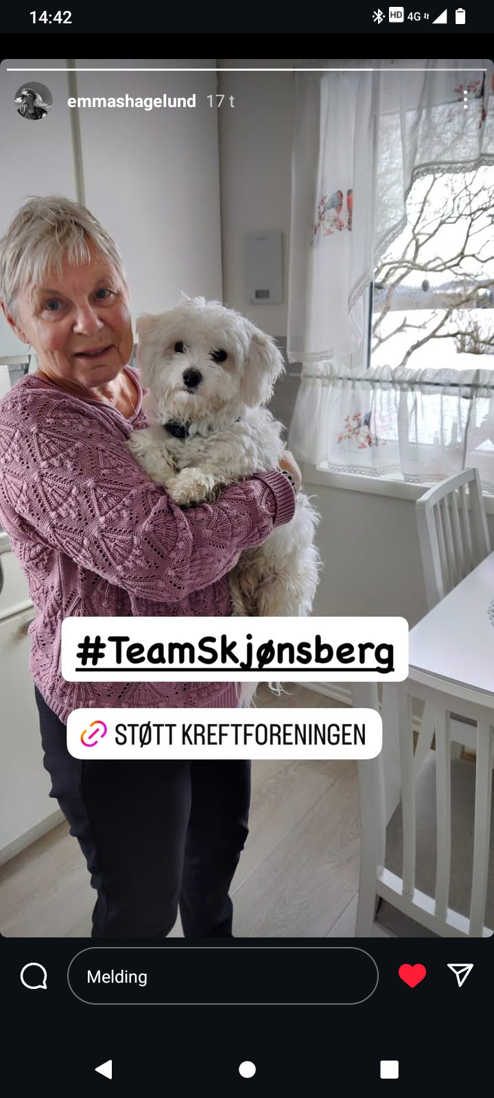 Bilde for laget Team Skjønsberg på Kreftforeningens Stafett for livet. 