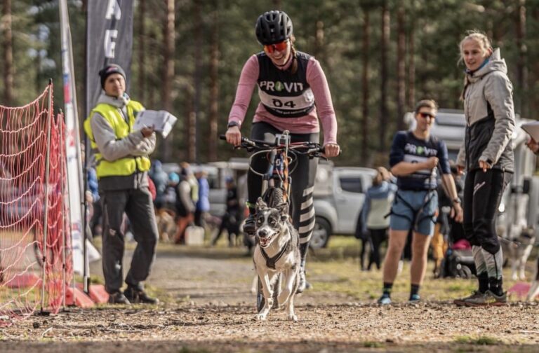 Bilde for laget Team Camilla på Kreftforeningens Stafett for livet. 